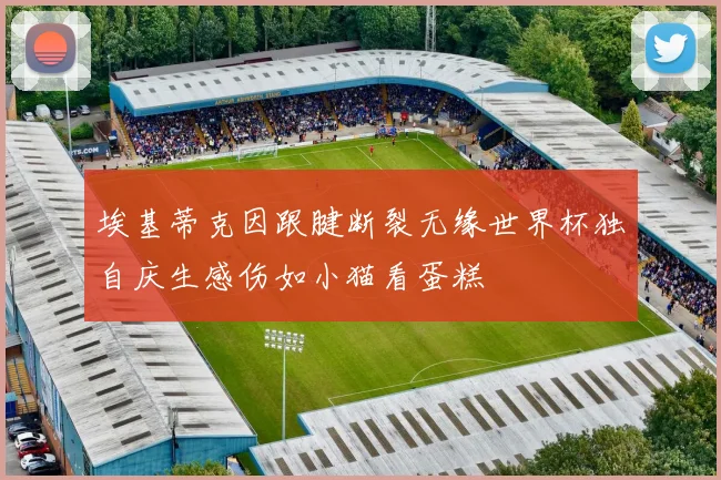 埃基蒂克因跟腱断裂无缘世界杯独自庆生感伤如小猫看蛋糕